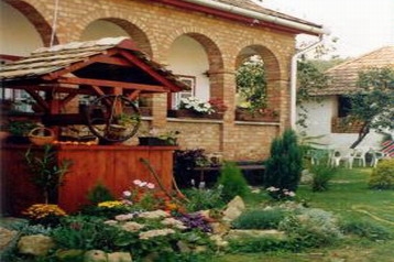 Ungārija Privát Bodony, Eksterjers